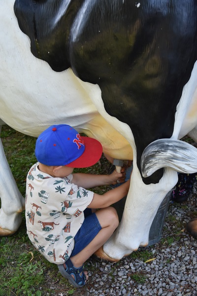 Kultura, Tradycja... i Placki! 2023